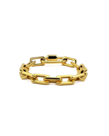 Golden Link Carabiner Set
